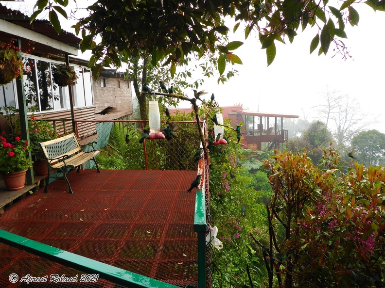 Quetzal Lodge_02.jpg