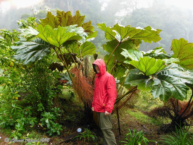 Quetzal Lodge_08.jpg