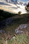 Braunsberg 3