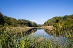 Donau-Auen Stillgewässer 3