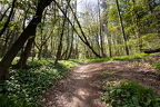 Wienerwald 4